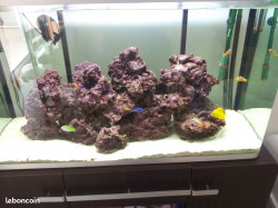 vend aquarium 260l + pompe + pierre vivante + sable